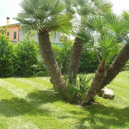 Bed and breakfast S'ena 3*