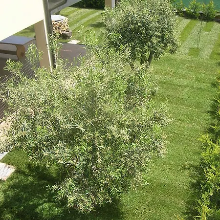 Oda ve Kahvaltı S'ena