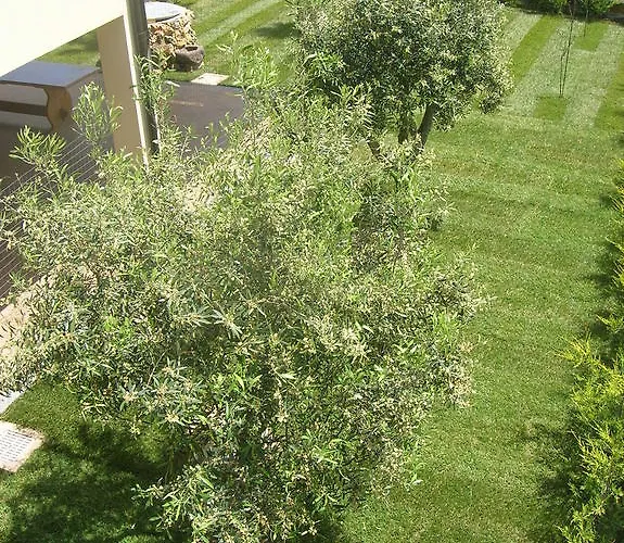 住宿加早餐酒店 S'ena